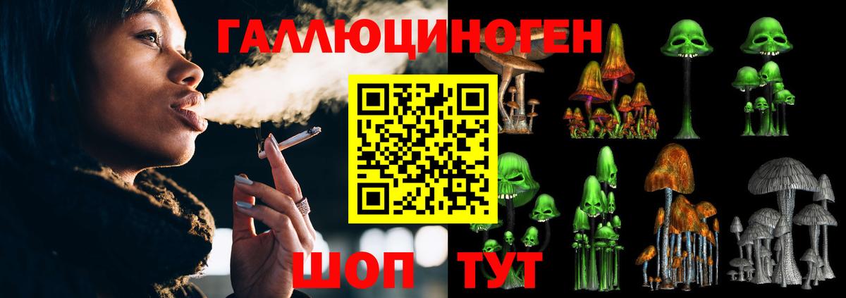 Галлюциногенные грибы Psilocybe  Галлюциногенные грибы прущие грибы  Вход с VPN  Нальчик 